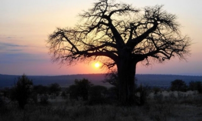 Sunset Tanzania | Unconventional Sleeping Tips