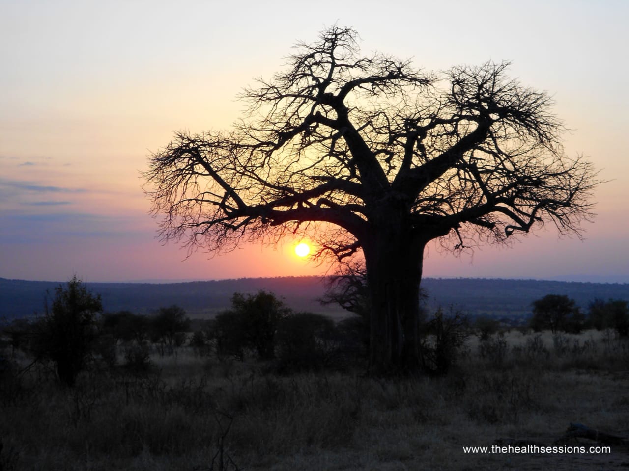 How You Can Still Pursue Your Goals and Dreams When You're Chronically Ill | The Health Sessions