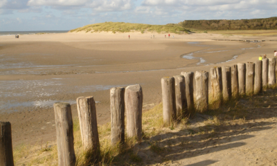 An Action Plan for Recovery: How to Bounce Back from Health Setbacks | The Health Sessions