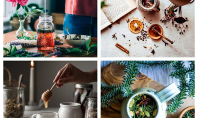 Herbal Teas | The Health Sessions