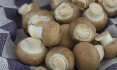 11 Medicinal Mushroom Recipes That'll Boost Your Immunity | The Health Sessions