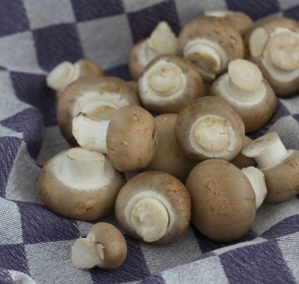 11 Medicinal Mushroom Recipes That'll Boost Your Immunity | The Health Sessions