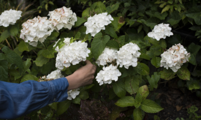 The Happy List: 31 Simple Pleasures to Sprinkle Throughout Your Days | The Health Sessions