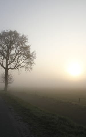 34 Ideas for a Healthy Morning Routine (That Can Be Done Under 10 Minutes) | The Health Sessions