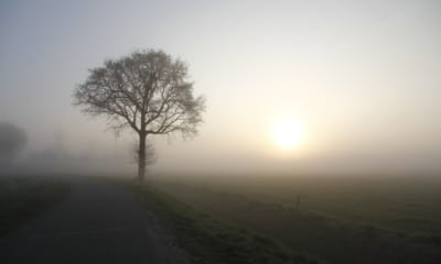 34 Ideas for a Healthy Morning Routine (That Can Be Done Under 10 Minutes) | The Health Sessions