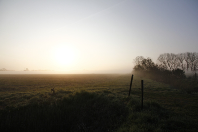 How to Deal with Brain Fog When Your Mind's Clouded | The Health Sessions