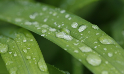 10 Counterintuitive Ways to Cope with Chronic Illness (That Actually Work) | The Health Sessions