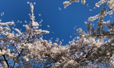 10 Abundance Quotes to Tap Into an Attitude of 'Enough' | The Health Sessions