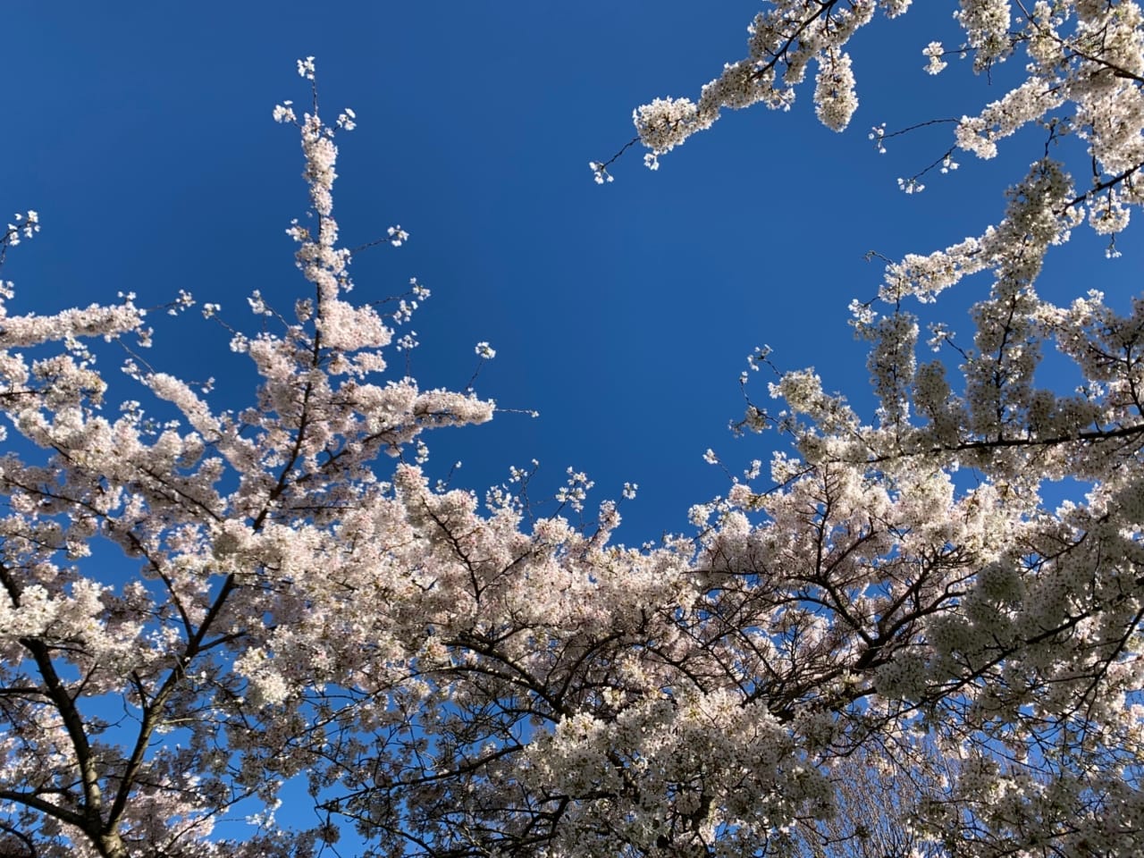 10 Abundance Quotes to Tap Into an Attitude of 'Enough' | The Health Sessions