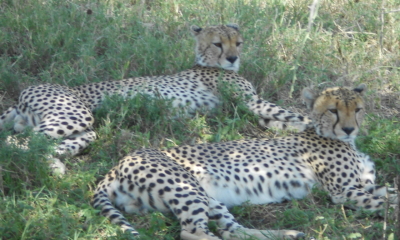 10 Subtle Ways to Boost Your Energy Spoonie-Style | The Health Sessions