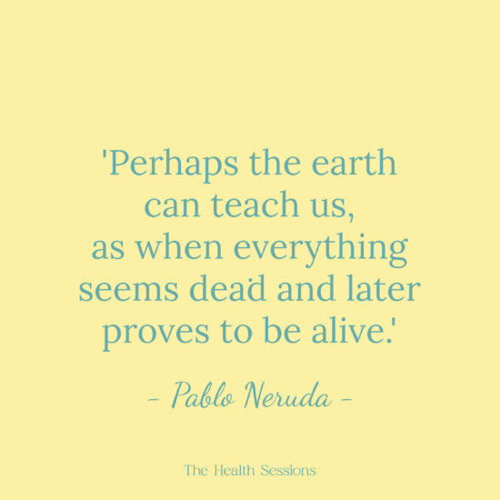 12 Flourishing Quotes to Help You Bloom Where You Are Planted | The Health Sessions