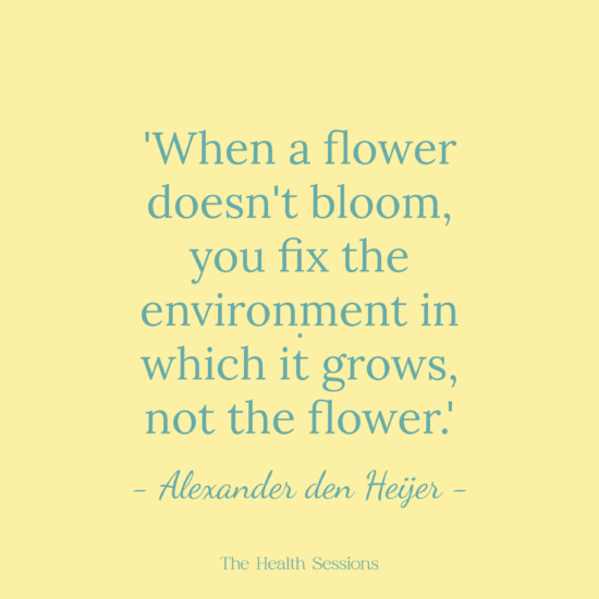 12 Flourishing Quotes to Help You Bloom Where You Are Planted | The Health Sessions
