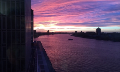 12 Light in the Darkness Quotes to Illuminate Your Path | The Health Sessions