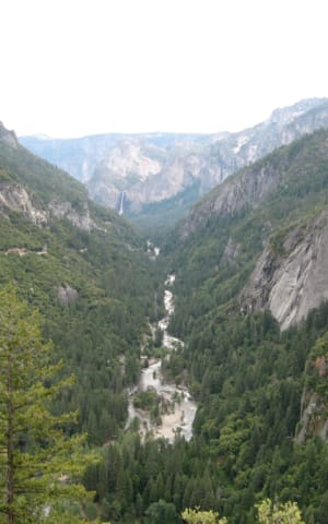 12 Timeless Tips for a Healthy Lifestyle | The Health Sessions