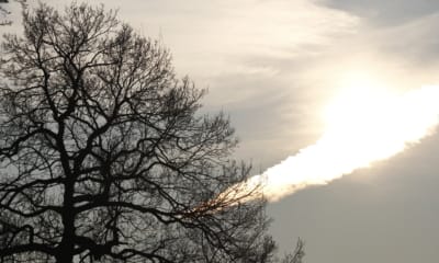 13 Loneliness Quotes That'll Make You Feel Less Alone | The Health Sessions