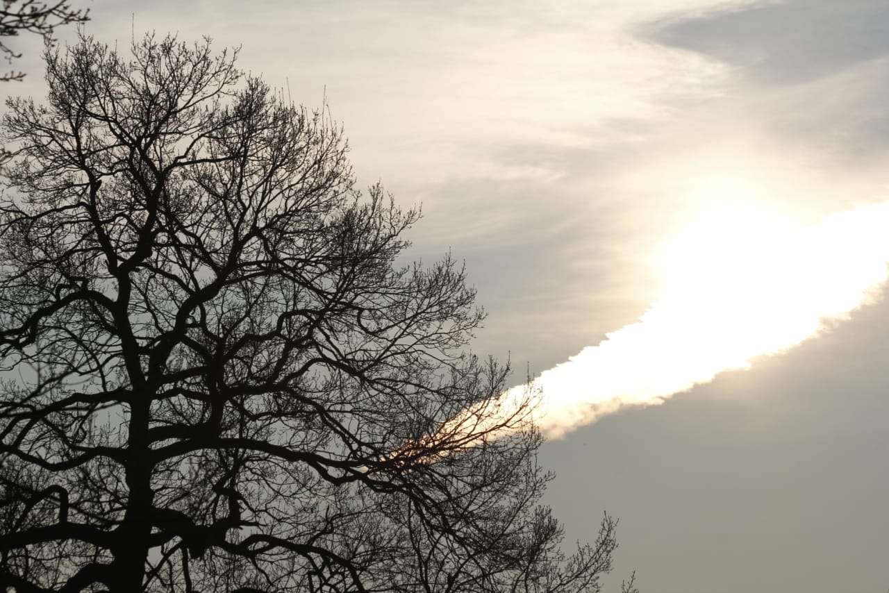 13 Loneliness Quotes That'll Make You Feel Less Alone | The Health Sessions