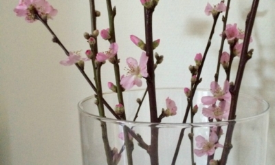 18 Kindness Quotes to Warm Your Heart | The Health Sessions