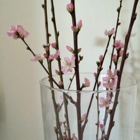 18 Kindness Quotes to Warm Your Heart | The Health Sessions