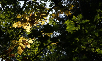 19 Cozy Fall Activities for Chronic Illness Self-Care | The Health Sessions