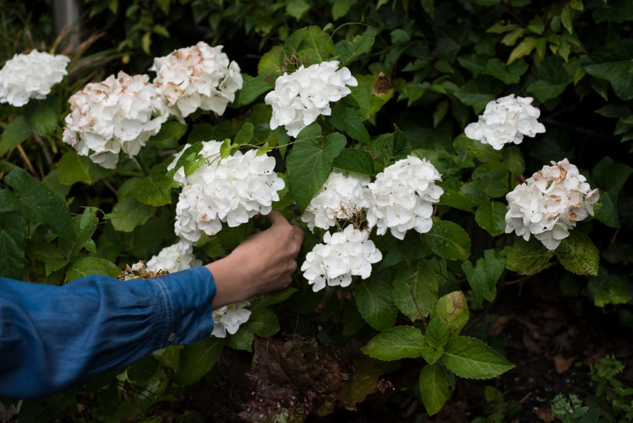 21 Backyard Adventures for an Exciting Summer at Home | The Health Sessions