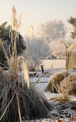 23 Accessible Winter Activities for When You Feel Alone | The Health Sessions