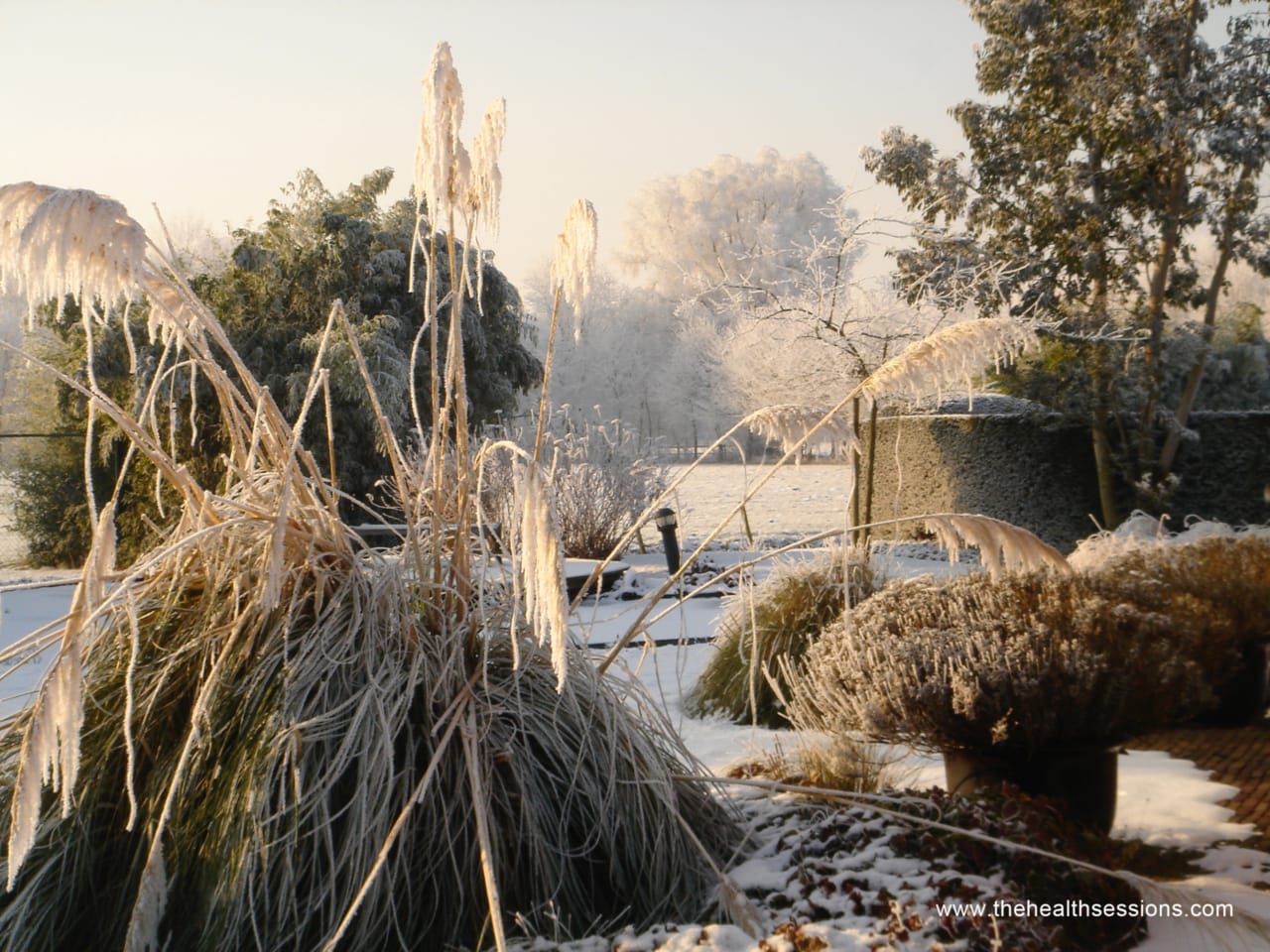 23 Accessible Winter Activities for When You Feel Alone | The Health Sessions