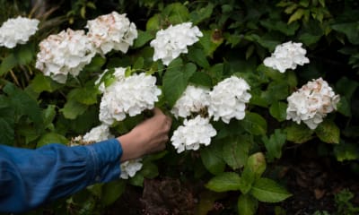 24 Ideas to Connect with Your Partner When One of You is Chronically Ill | The Health Sessions