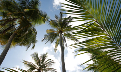 16x Instant Inspiration for a Happy and hEalthy Summer | The Health Sessions