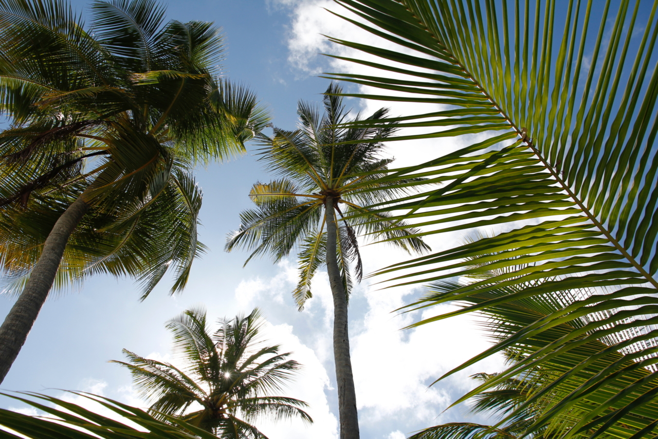 16x Instant Inspiration for a Happy and hEalthy Summer | The Health Sessions