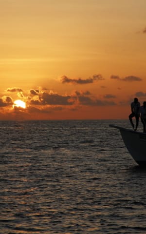 Why You Should Stop Searching for That One Magic Cure (And What to Do Instead) | The Health Sessions