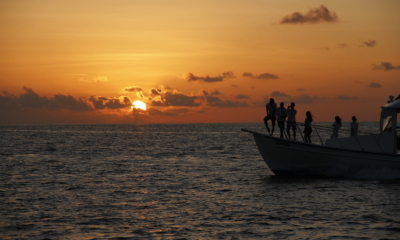 Why You Should Stop Searching for That One Magic Cure (And What to Do Instead) | The Health Sessions