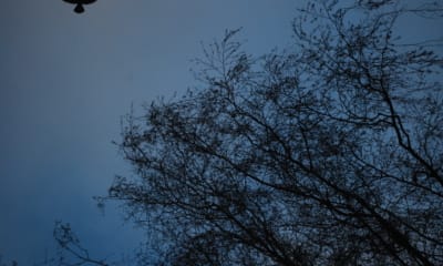 6 Unconventional Tips for Getting a Good Night's Sleep | The Health Sessions