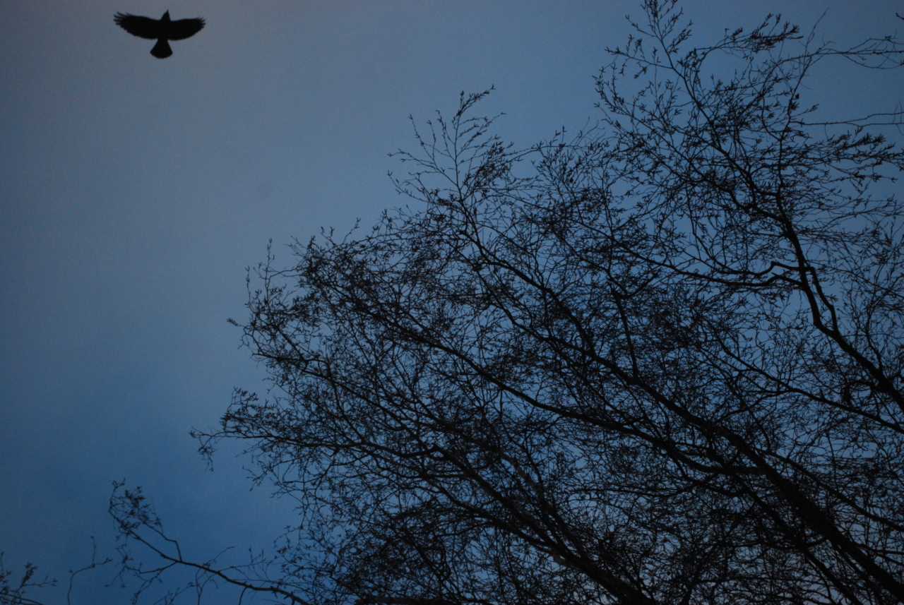 6 Unconventional Tips for Getting a Good Night's Sleep | The Health Sessions