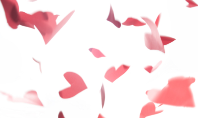 A Love Letter to the Supporters of Chronically Ill Warriors Everywhere | The Health Sessions