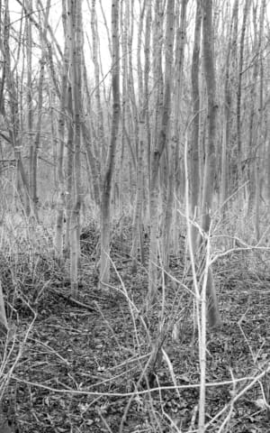 Emotional Loneliness: 5 Things to Do When Nobody Understands You | The Health Sessions