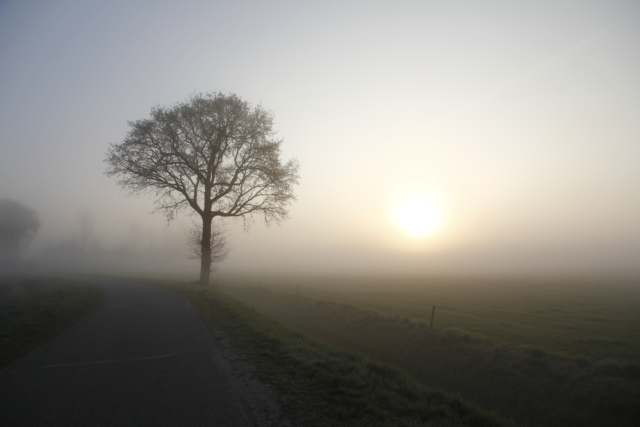 How to Deal with Brain Fog When Your Mind's Clouded | The Health Sessions