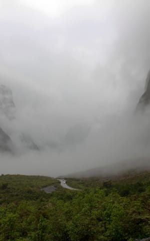 How to Deal with Brain Fog When Your Mind's Clouded | The Health Sessions