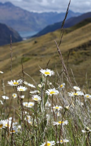 How to Practice Alternate Nostril Breathing | The Health Sessions