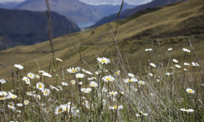 How to Practice Alternate Nostril Breathing | The Health Sessions