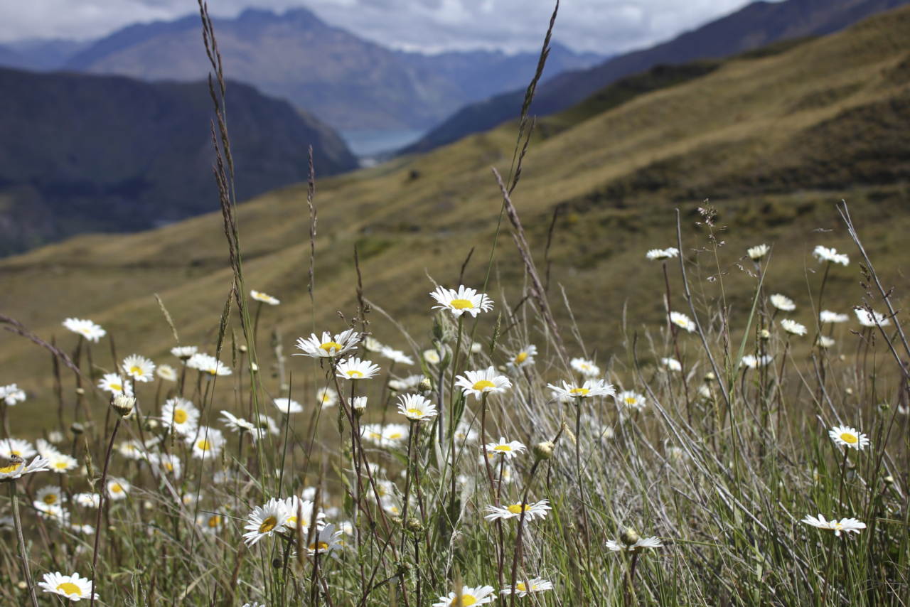 How to Practice Alternate Nostril Breathing | The Health Sessions