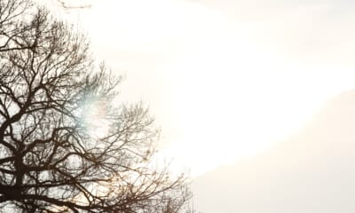 Light: The Free, Accessible Health Tool You Probably Haven't Optimized Yet | The Health Sessions