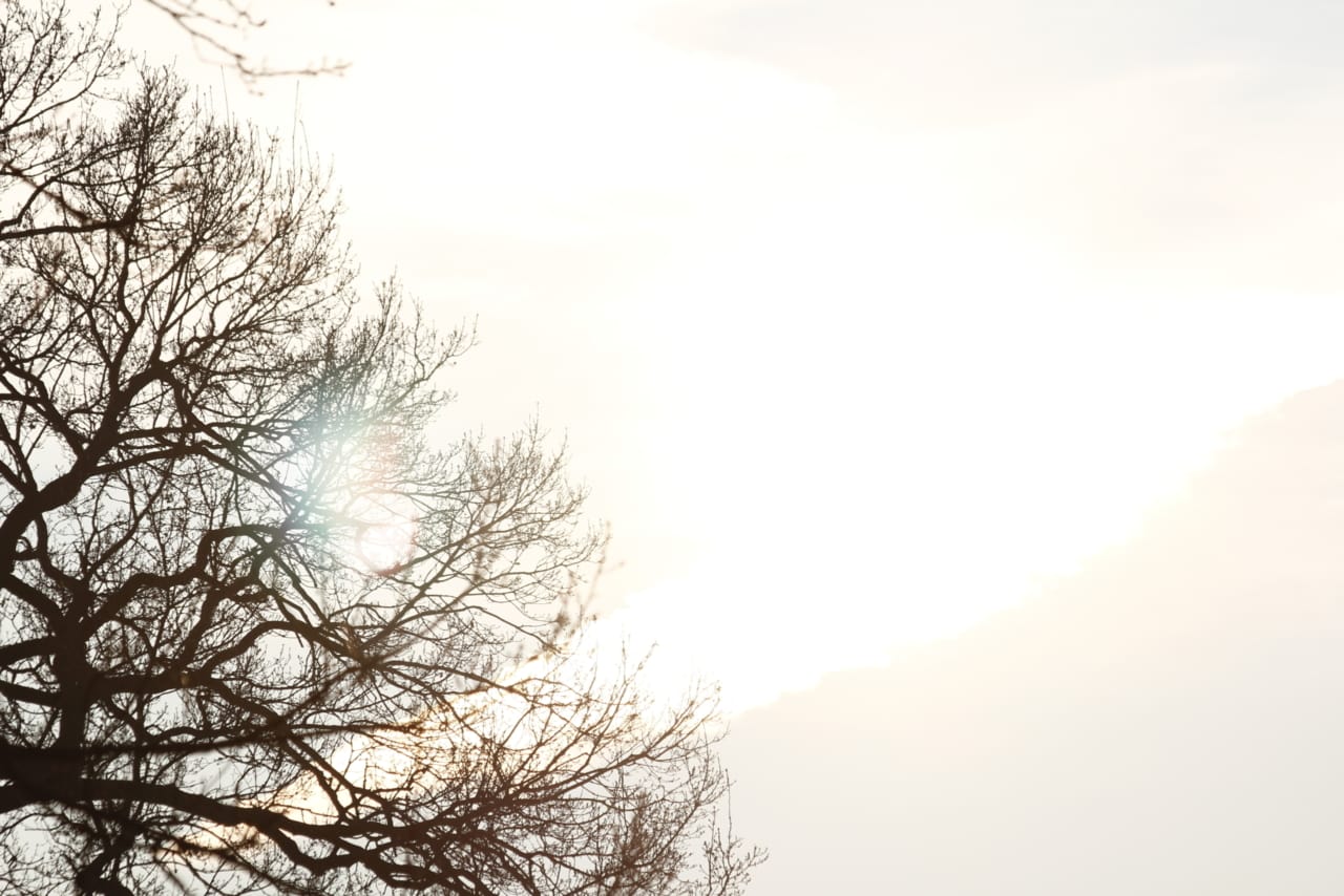 Light: The Free, Accessible Health Tool You Probably Haven't Optimized Yet | The Health Sessions