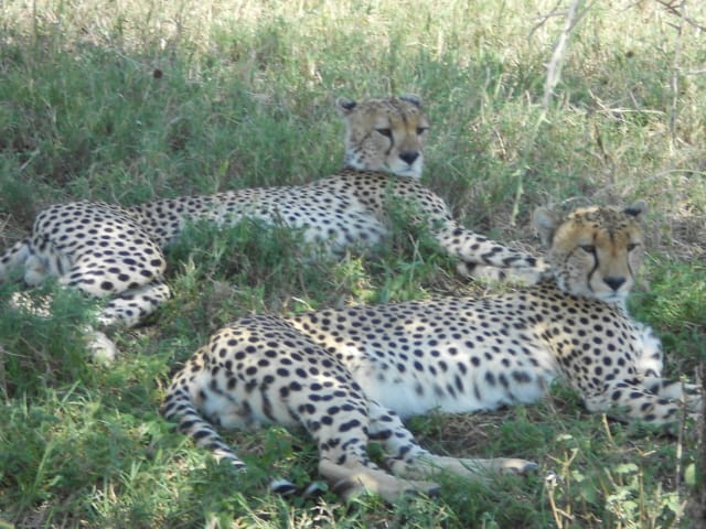 Rewild Your Chronic Life: 10 Ways to Live in Tune with Nature When You're Sick | The Health Sessions