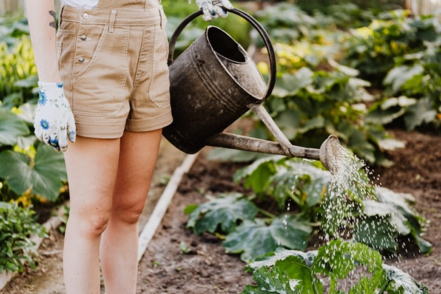 Rewild Your Chronic Life 10 Ways to Live in Tune with Nature When You're Sick | The Health Sessions