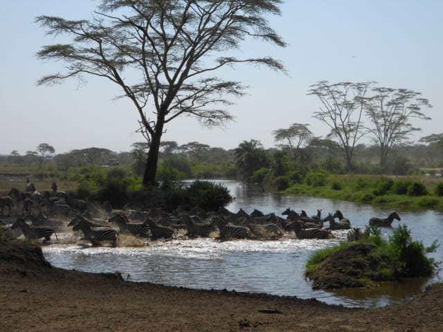 Rewild Your Chronic Life: 10 Ways to Live in Tune with Nature When You're Sick | The Health Sessions