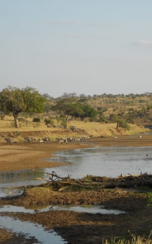 Rewild Your Chronic Life: 10 Ways to Live in Tune with Nature When You're Sick | The Health Sessions