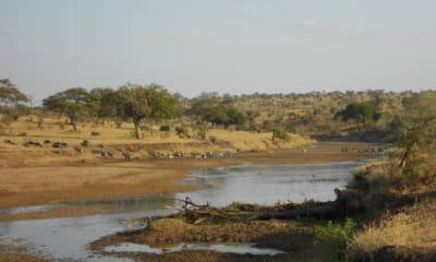 Rewild Your Chronic Life: 10 Ways to Live in Tune with Nature When You're Sick | The Health Sessions