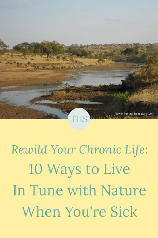 Rewild Your Chronic Life: 10 Ways to Live in Tune with Nature When You're Sick | The Health Sessions