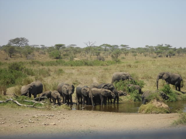 Rewild Your Chronic Life: 10 Ways to Live in Tune with Nature When You're Sick | The Health Sessions