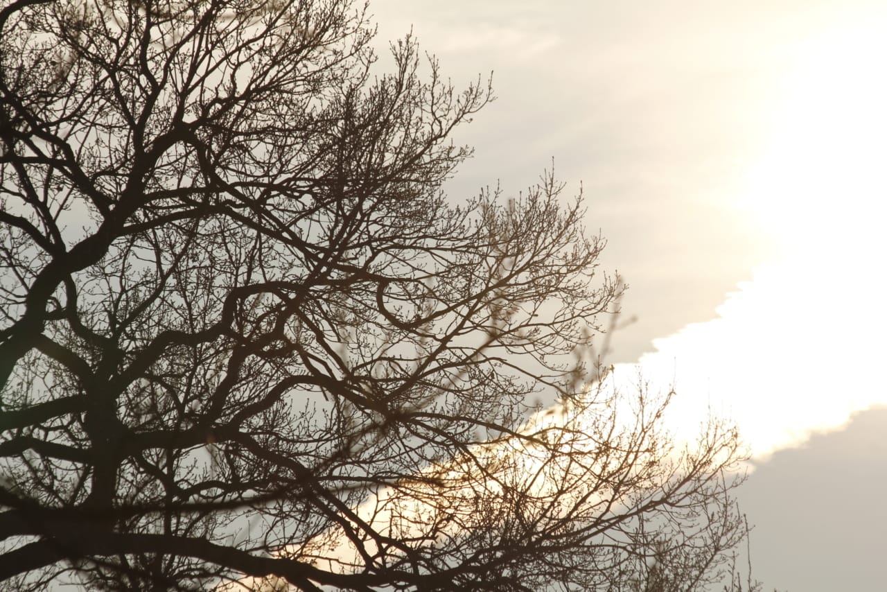 Teenagers with Chronic Illness: How to Deal with Depression, FOMO, and Loneliness | The Health Sessions